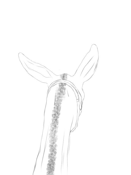 3993202B-A668-4D1E-BF26-19B6C1C54592