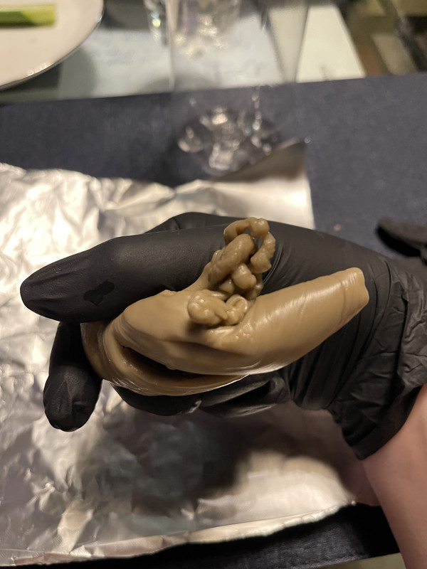 3638D83C-CA9D-4872-8CA1-F4E33F531C8A