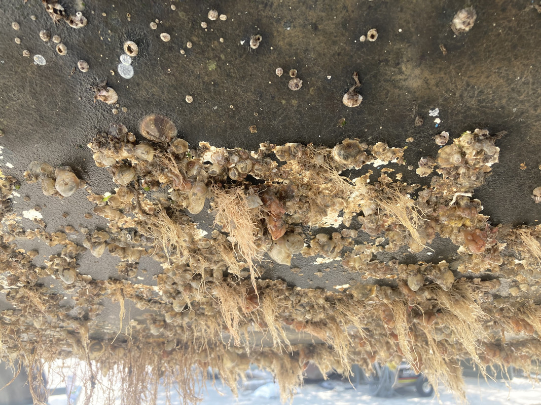 DE3CF5B7-B853-421A-A520-7F763E64B40D