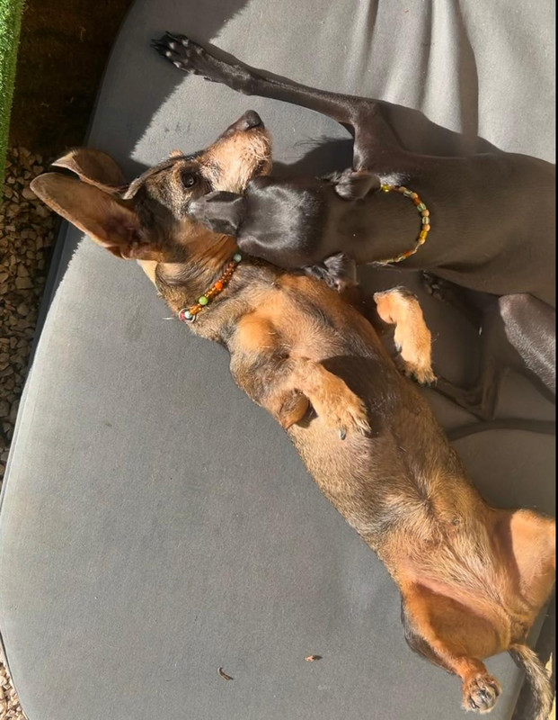 [Image: IMG-20251003-WA0012.jpg]