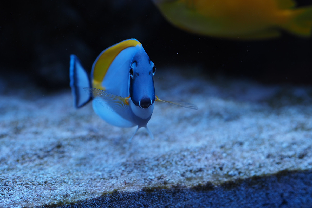 1422EA44-5DFD-4D7A-937A-009D0032373B