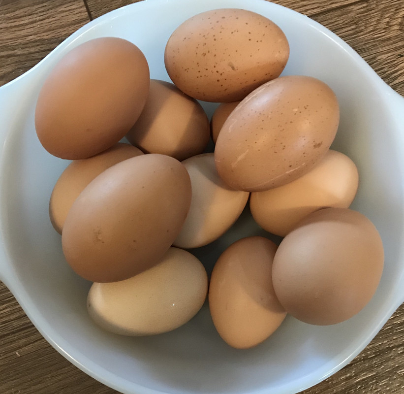 AF7B3E23-ACAC-4F5E-8444-55D2AB7652F3