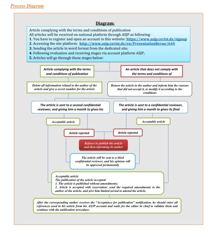 Editorial Process Visual