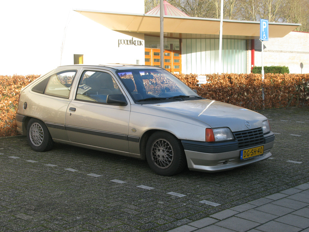 IMG-6770.jpg