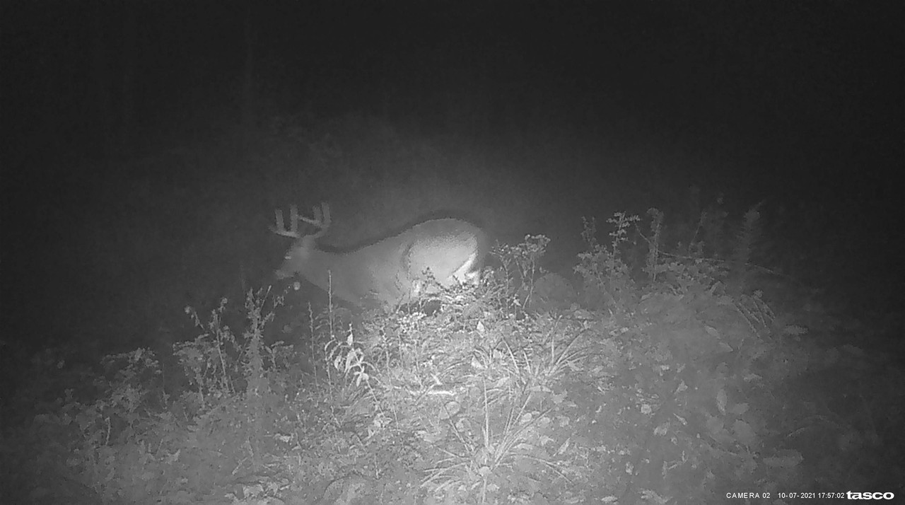 3EF01B04-DA07-46C8-9746-7685597AD304