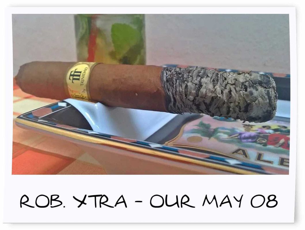 Trin Rob X-plus stick photo