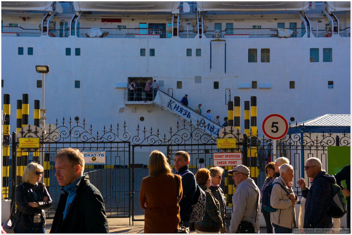 Cruise-0009