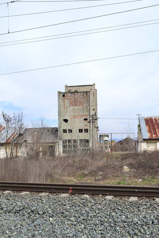 DSC_5055
