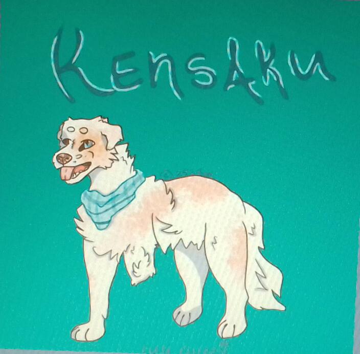 E8ACA074-FCD8-4031-8DE2-0D85E4FA8D8F