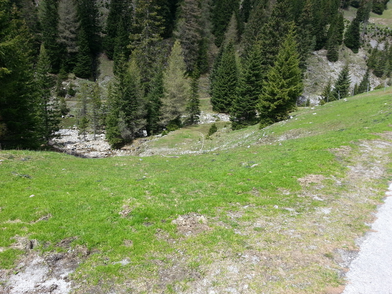 15. Potočić kraj koga je, srećom,završila samo j