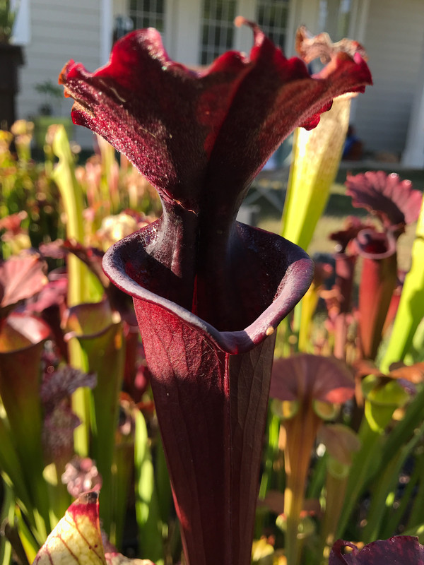 A5AEE773-02E0-44B1-93B4-F45219CF942D