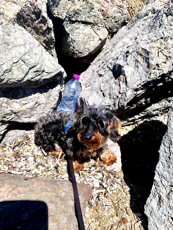 [Image: IMG-2884.jpg]