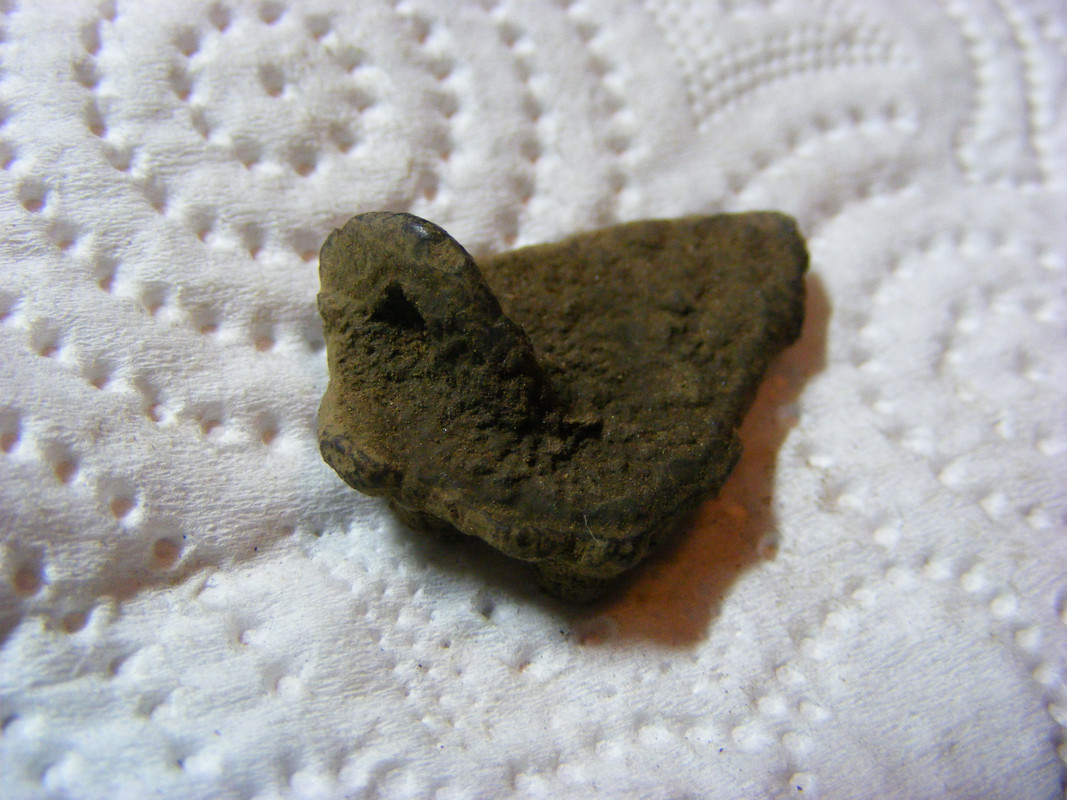DSCF7219