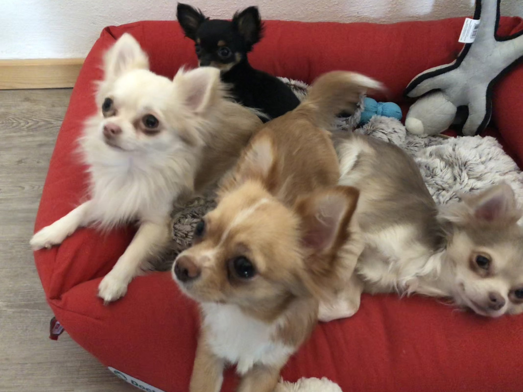 AD7B4EB6-FE4C-4014-BBA7-D60E1A1AAB71