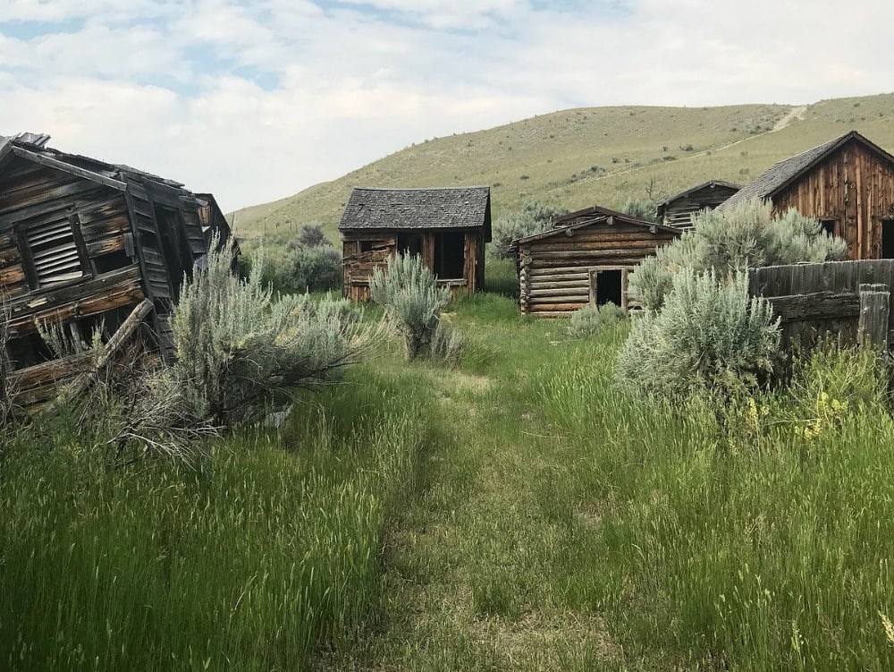 [Изображение: photo-2026-01-11-11-50-39.jpg]