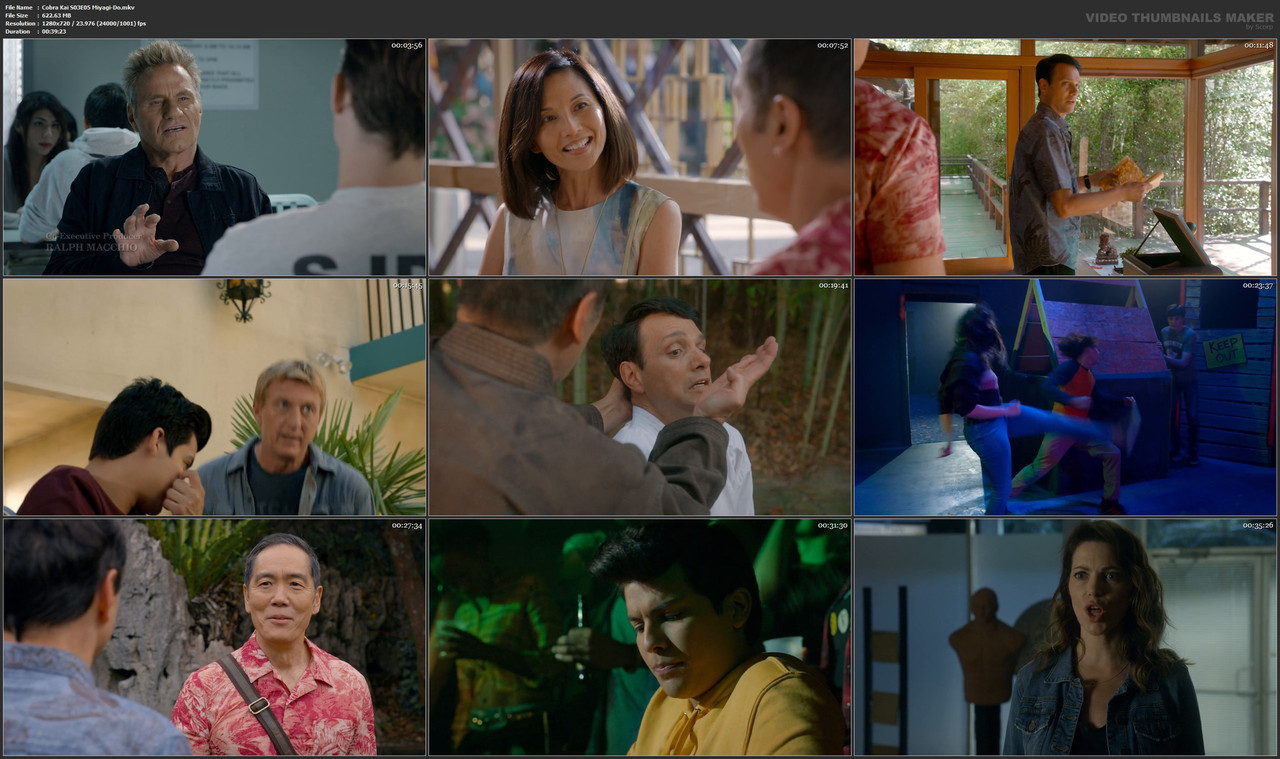 Cobra Kai S03E05 Miyagi-Do.mkv