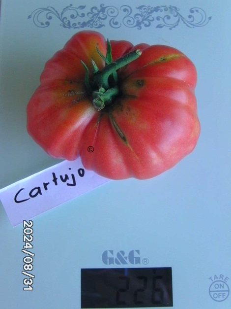 [Bild: BILD0385.jpg]