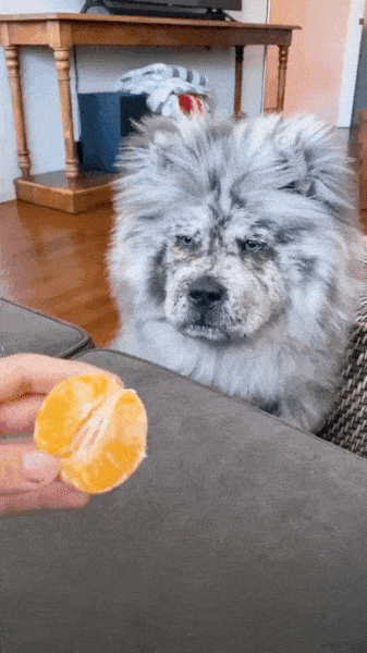 1gosmt-H.gif