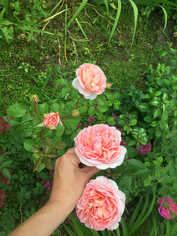 21820CA7-5A78-4560-BAE8-FFBB970A47BA