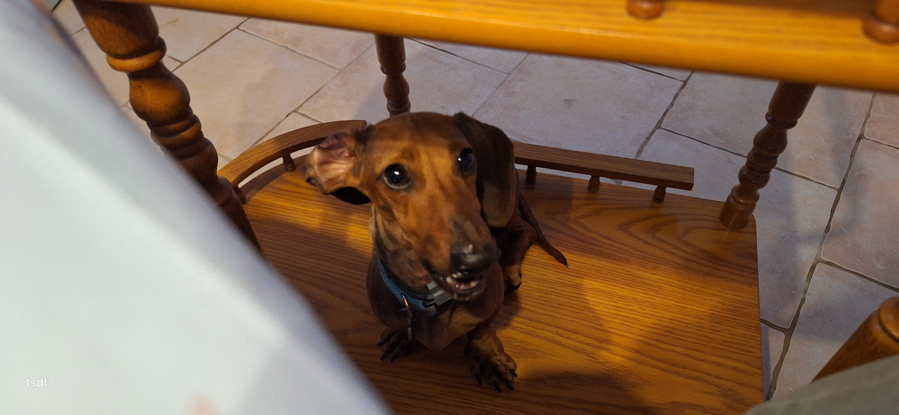 [Image: 20250722-210120.jpg]