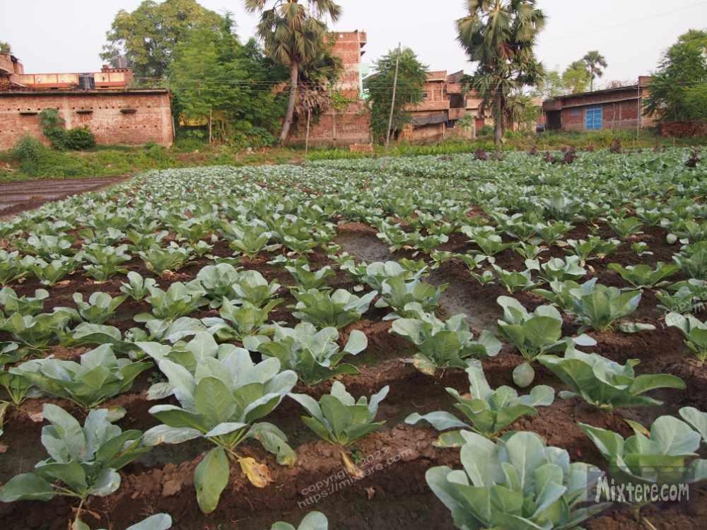 BBG&B6AroundTheGuesthousePics - 3