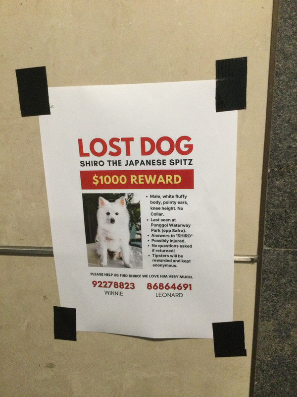 87E58381-24DA-415B-877C-45D276DFF115