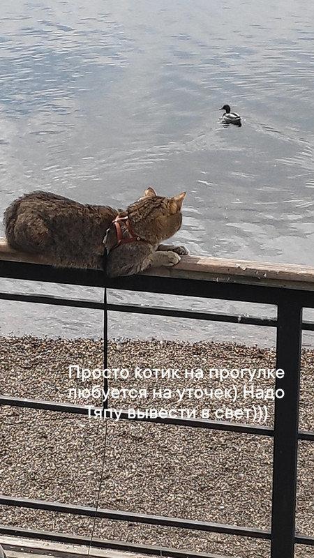 1655103315906