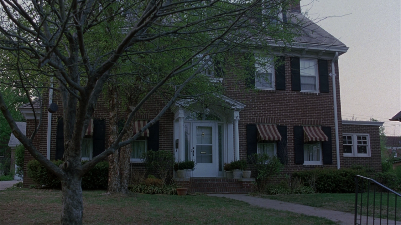 vlcsnap-2024-02-03-11h28m49s388