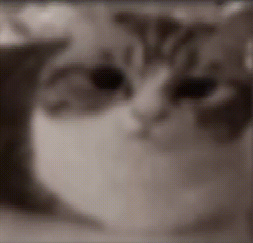 sticker.gif