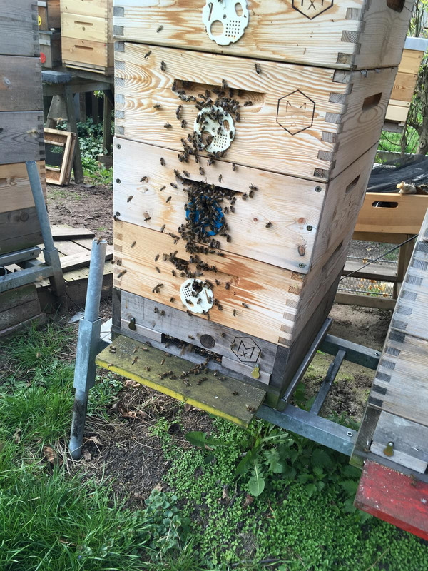 B4EE8AE8-353F-43CD-AB83-B8E1402A962B