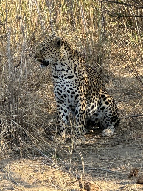 [Linked Image from i.postimg.cc]