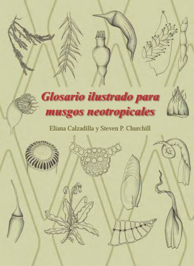 Glosario ilustrado para musgos neotropicales - Eliana Calzadilla y Steven P. Churchill (PDF + Epub) [VS]