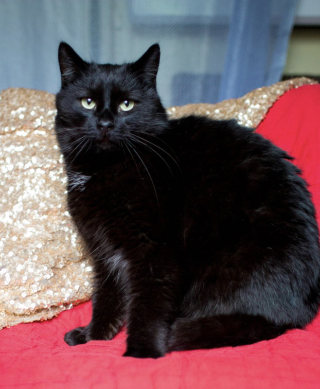 590CB249-0A27-4CD7-8E8E-6694D63B04E4