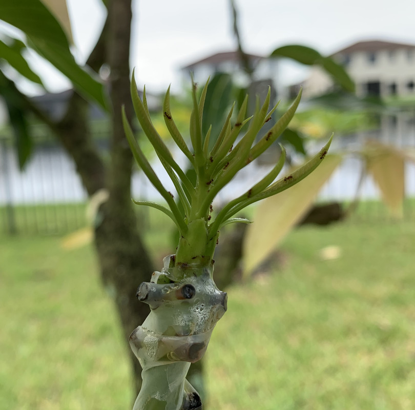 B235874E-586D-4E95-A98C-4DC630C7E653