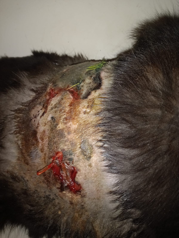 B943651D-DAD7-4171-92B3-13605E5D3F07