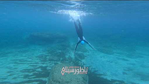 IMG-20240815-WA0029