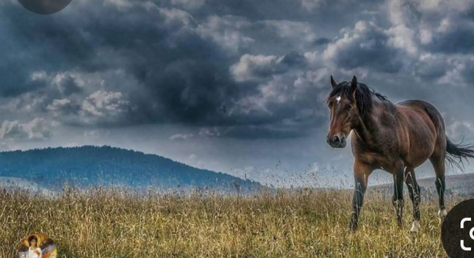 Screenshot_20231119_100311_Pinterest