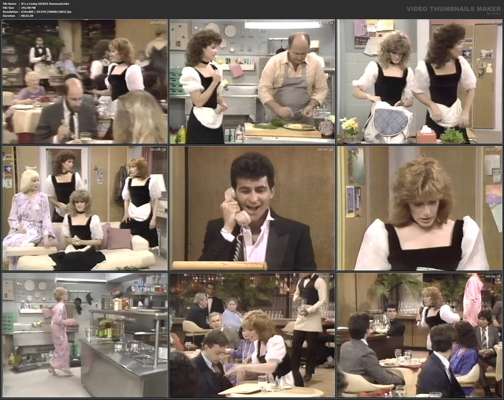 It's a Living S03E01 Harassed.mkv