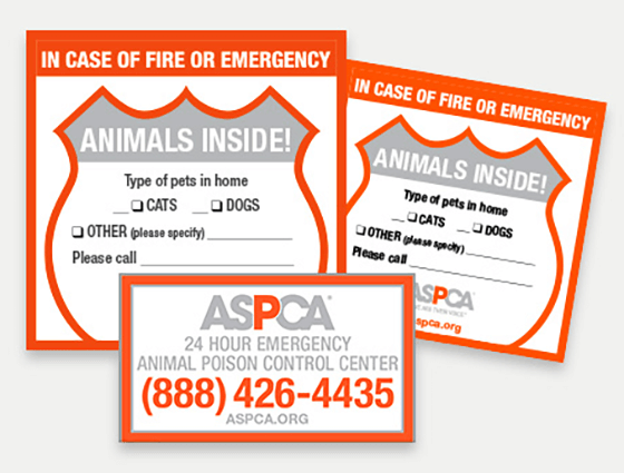 Secure Your Furry Friend: Claim Your FREE ASPCA Pet Safety Pack Kit Now! Secure Your Furry Friend: Claim Your FREE ASPCA Pet Safety Pack Kit Now!
