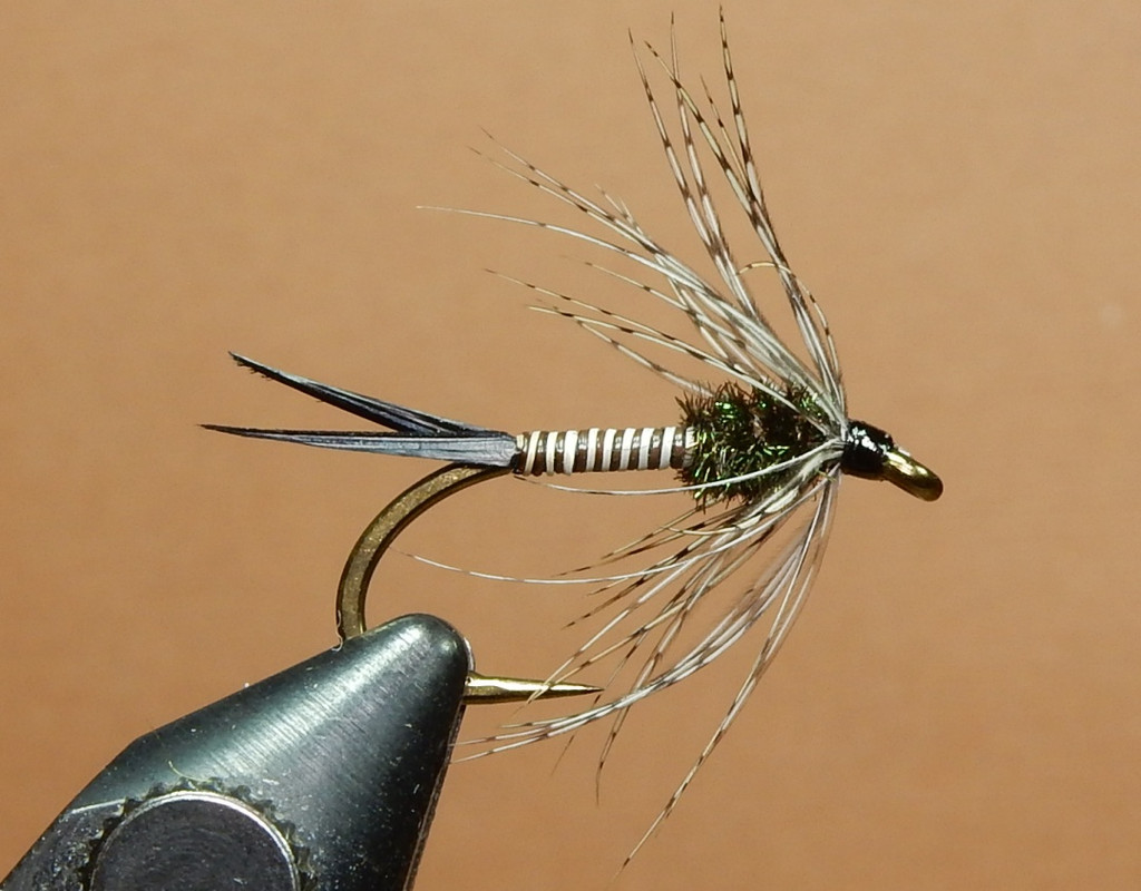 What Are You Tying Today? Pa