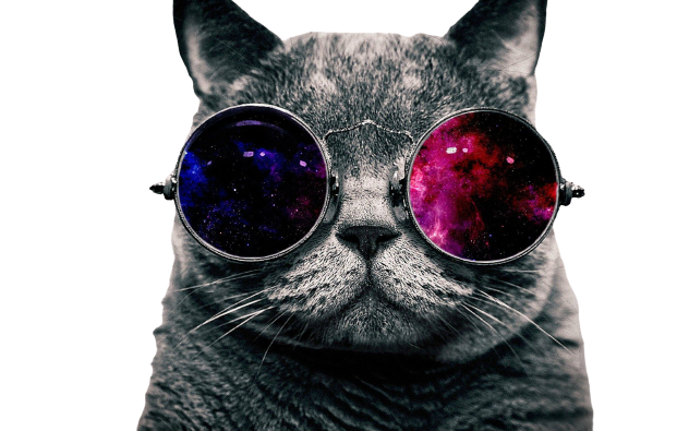 catt-removebg-preview