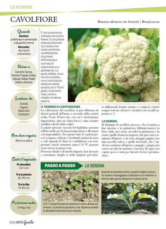 Orto Facile - Il Mio Orto Pratico - Feb-Mar 2025 (7)