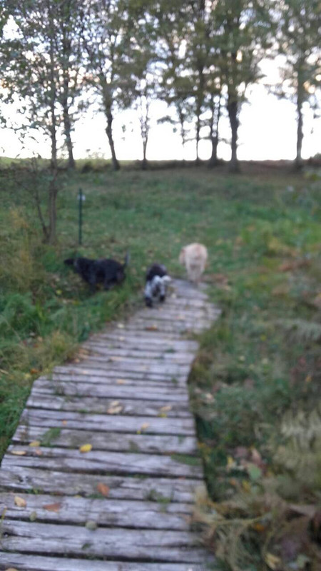 F14216B7-F77C-499E-8E7C-216557C99575