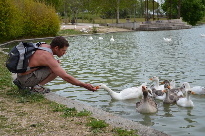 PARQUE DE POLVORANCA-2016/2022-MADRID - Paseando por España-1991/2016 (37)