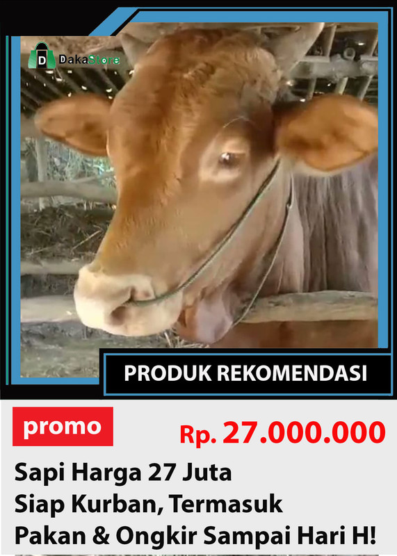 SAPI 27JT