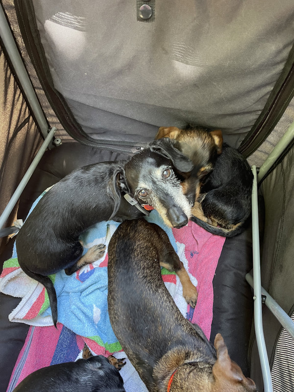 [Image: IMG-1709.jpg]