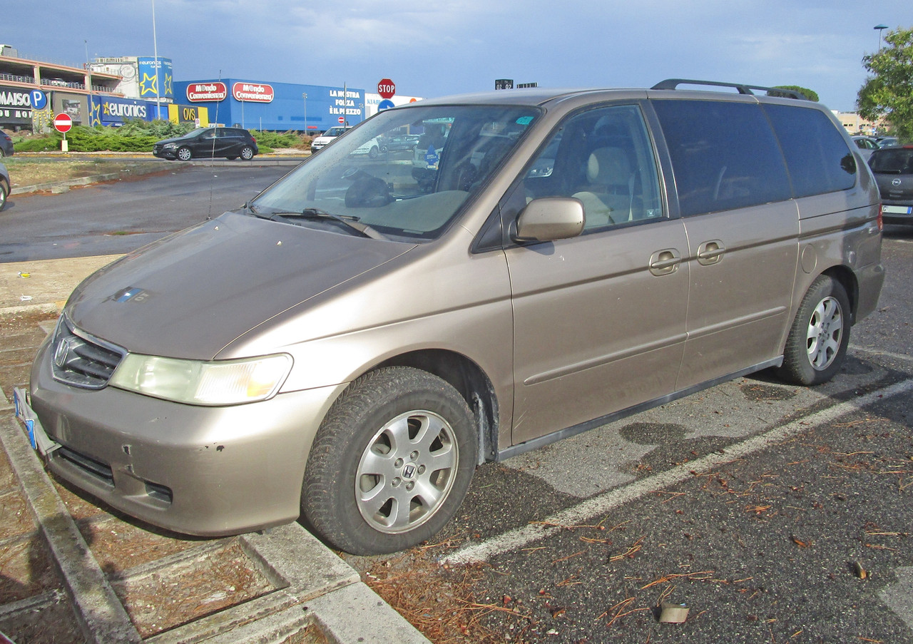 IMG-8641.jpg