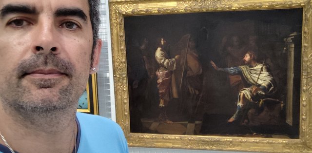 Escapada por Amsterdam - La Haya - Delft - Rotterdam - Leiden - Londres - Blogs de Europa - Museo Mauritshuis, decepcionante Depot Boijmans y callejeo por Delft y Leiden (119)
