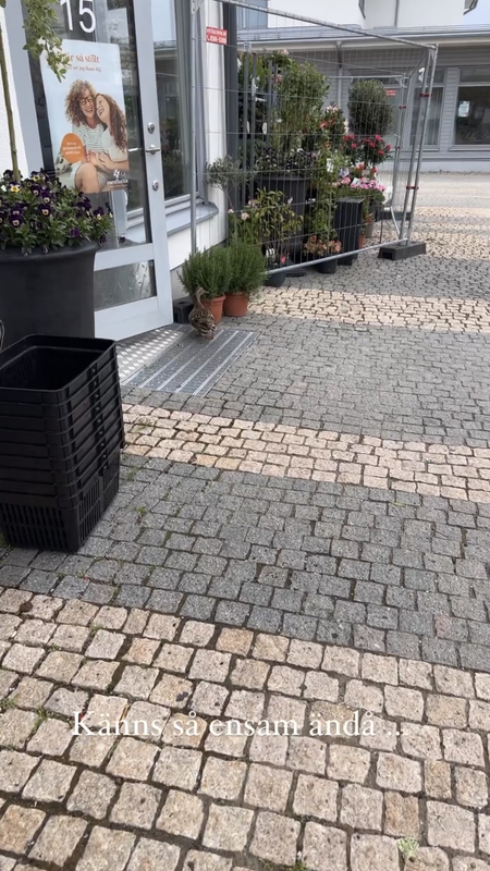 61E6A02D-8CCF-4DF3-8FA6-A2F4CD2E0A9C