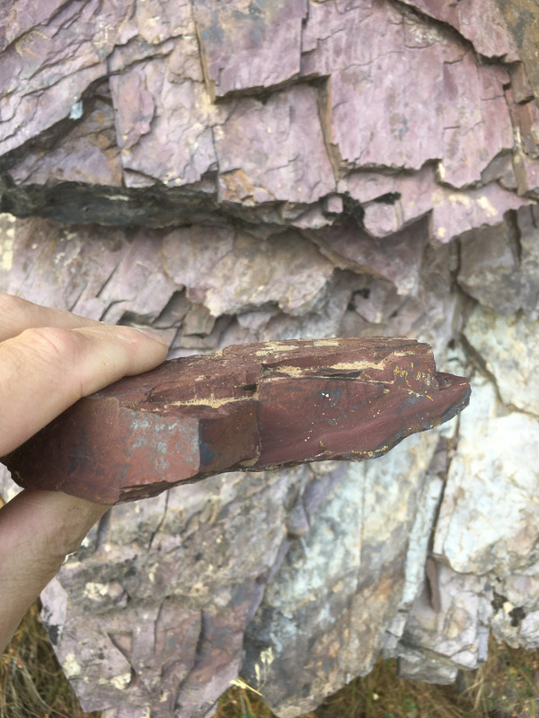 706B7F01-B77D-4F6B-AE58-EE47A56E837F